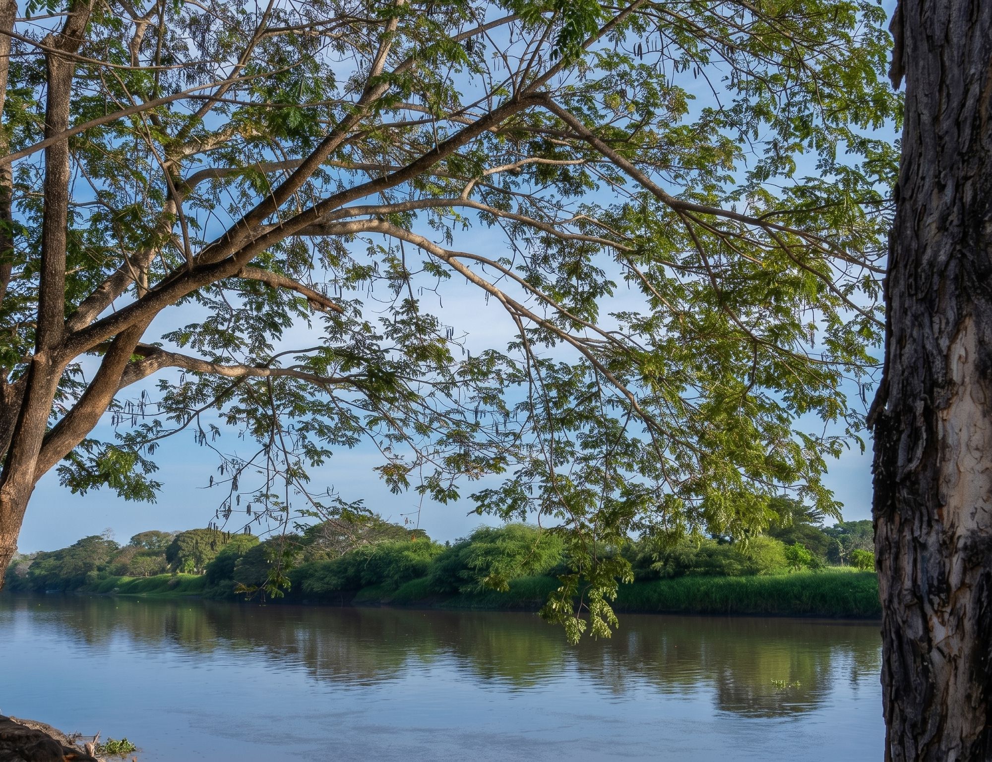 Mejor época para visitar mompox: clima y temporadas