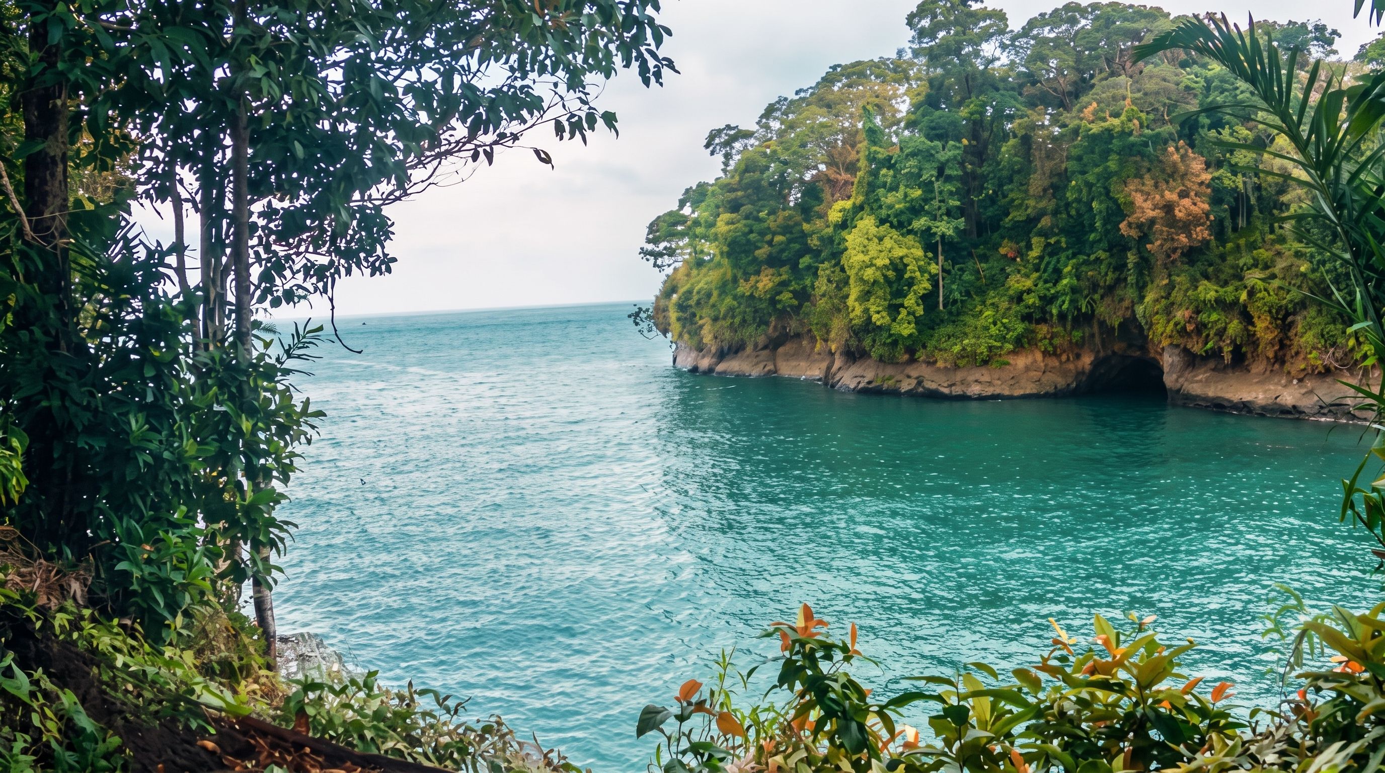 Guia completa para viajar a Bahía Málaga: Natureza, aventura e magia no Pacífico colombiano