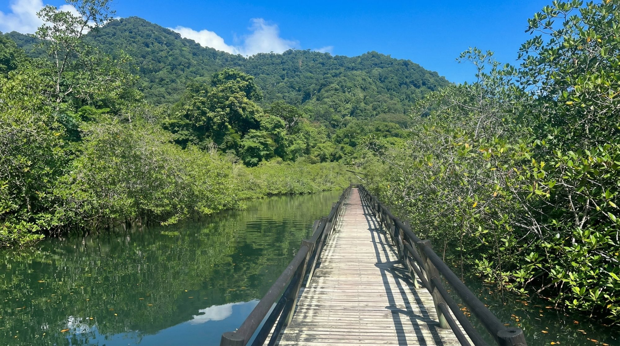 Tours y experiencias en Nuquí: las mejores opciones