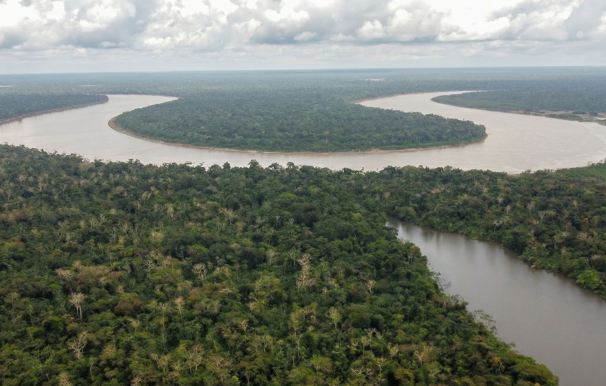 Mejor época para visitar amazonas: clima y temporadas