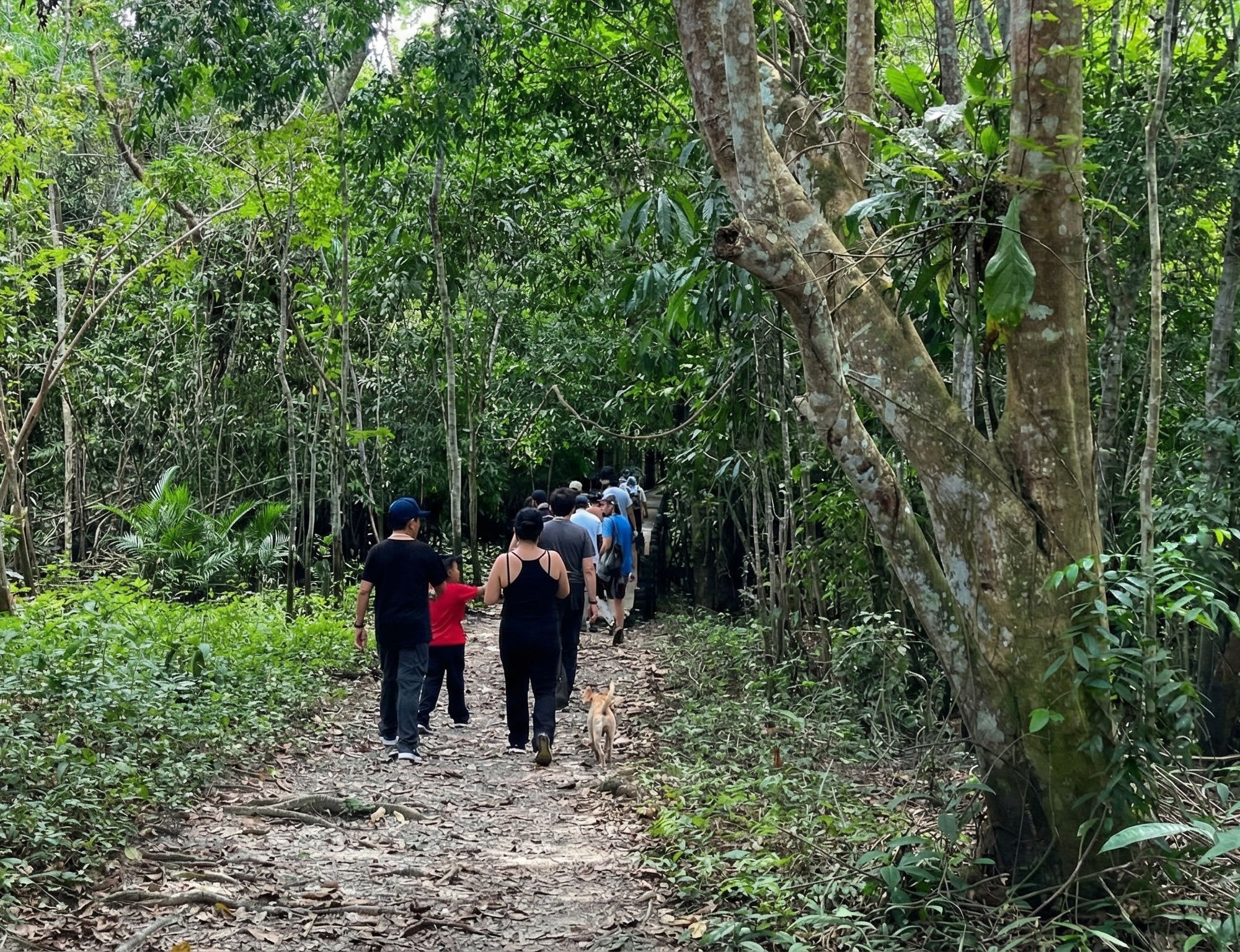 Datos Curiosos sobre el amazonas: Secretos, mitos y tradiciones.
