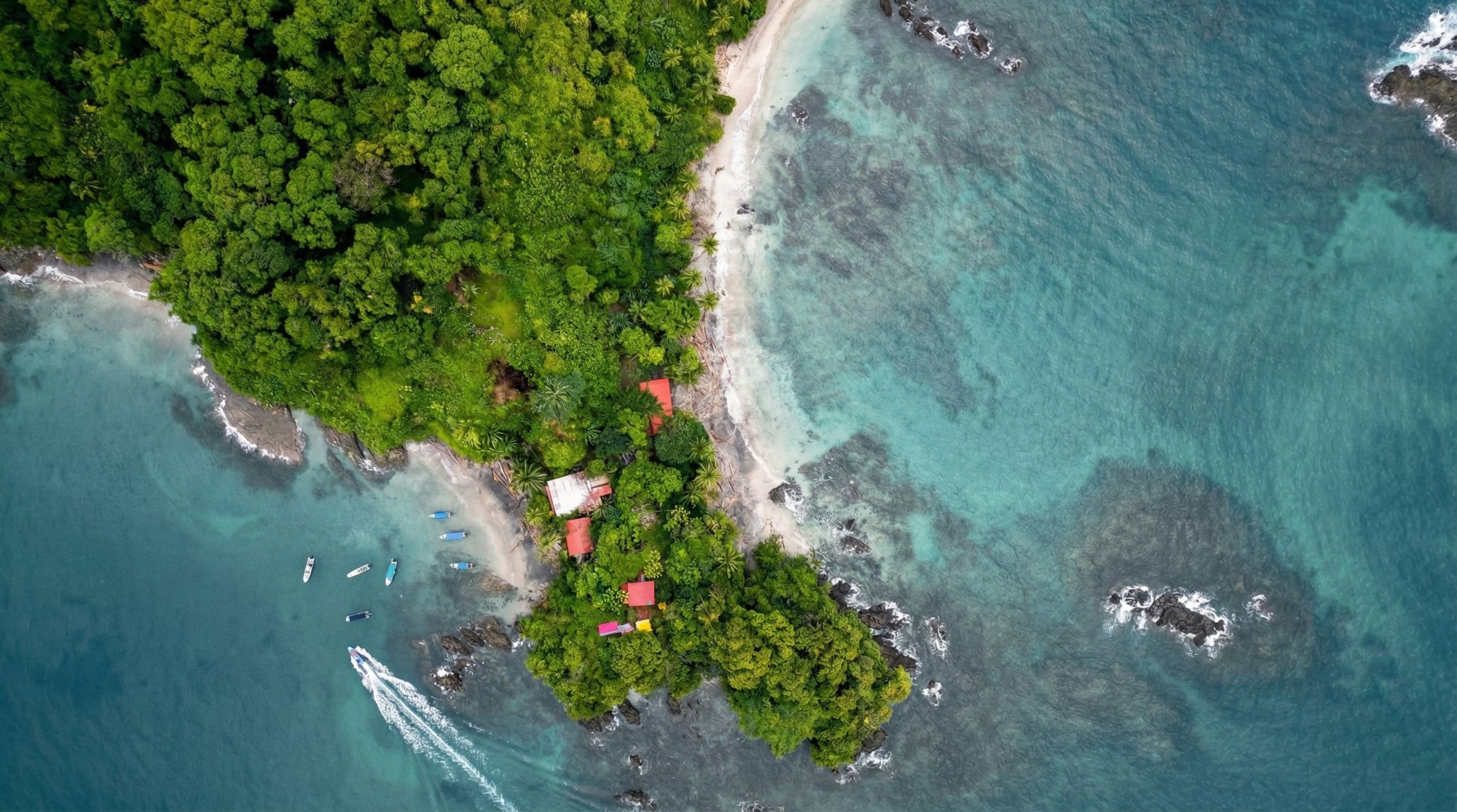 7 datos curiosos de Nuquí que te harán querer viajar al Pacífico colombiano