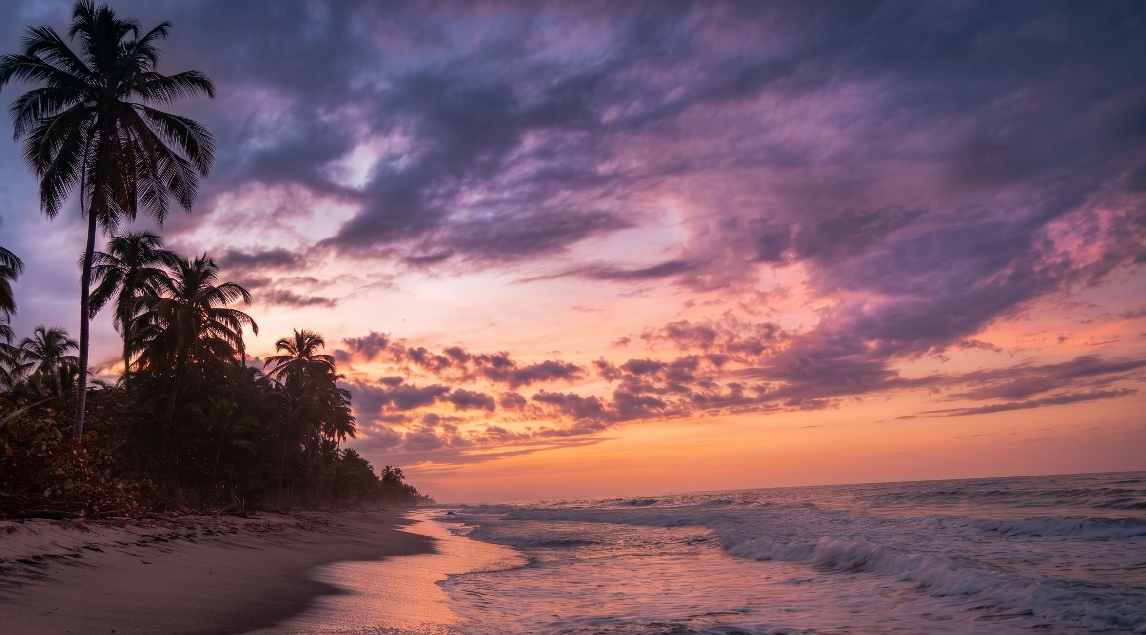 Mejor época para visitar palomino: clima y temporadas