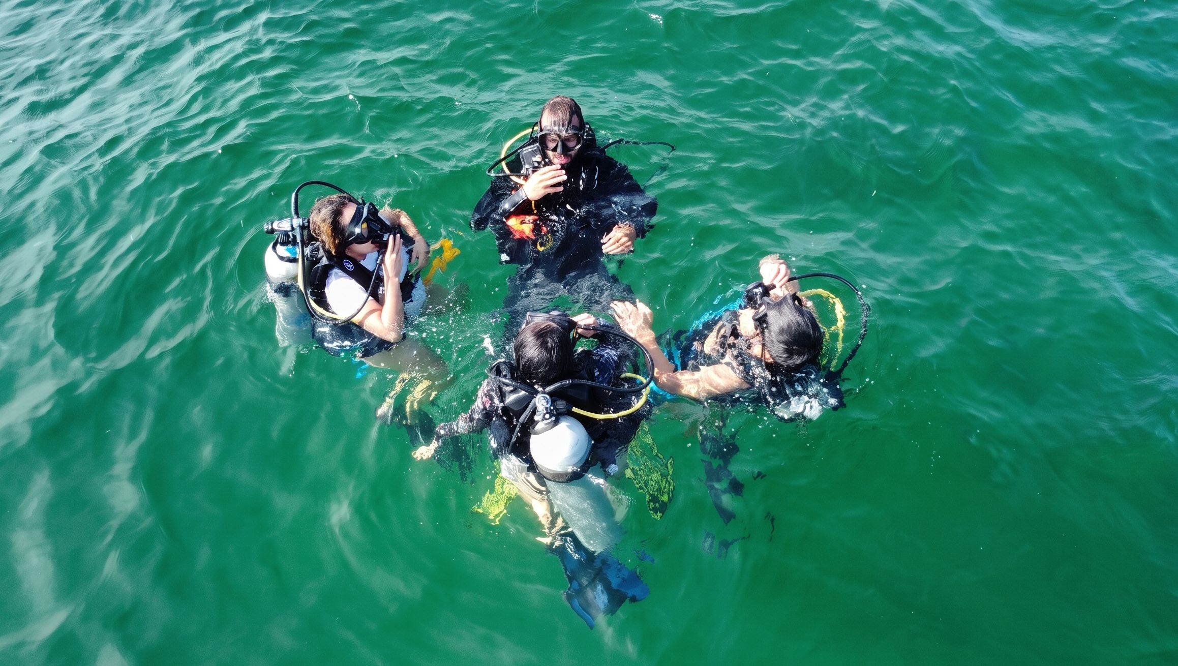 Tours e experiências na ilha forte: as melhores opções