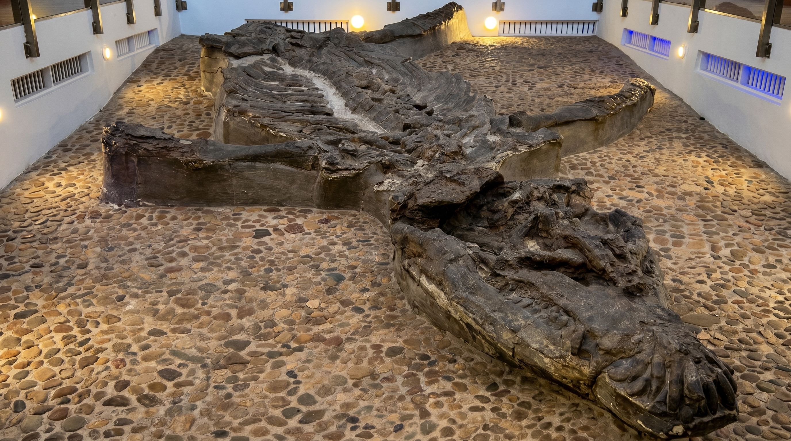 Villa de Leyva: uma viagem entre fósseis, história e paisagens únicas.