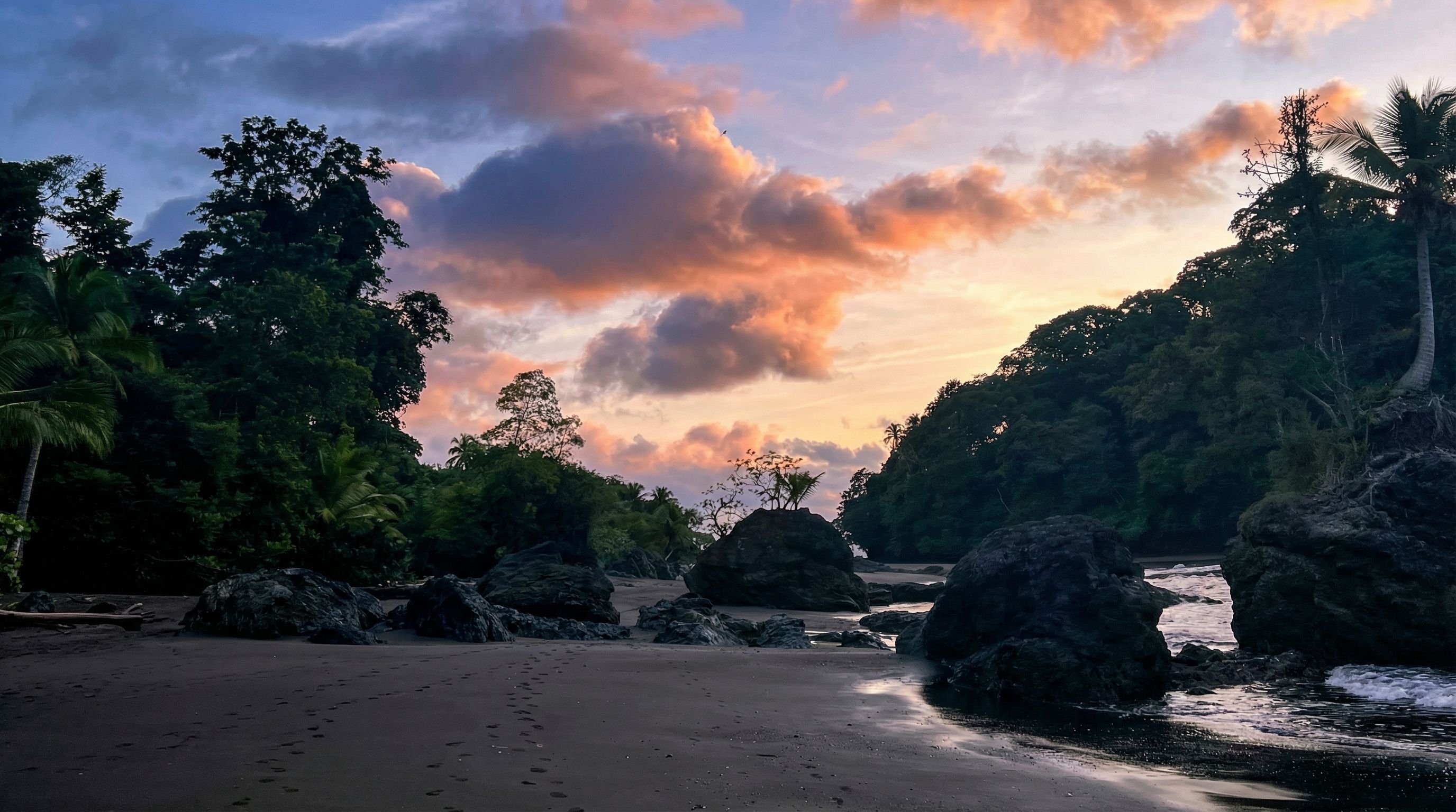 Guía completa para viajar a Nuquí: aventura y naturaleza en el Pacífico colombiano