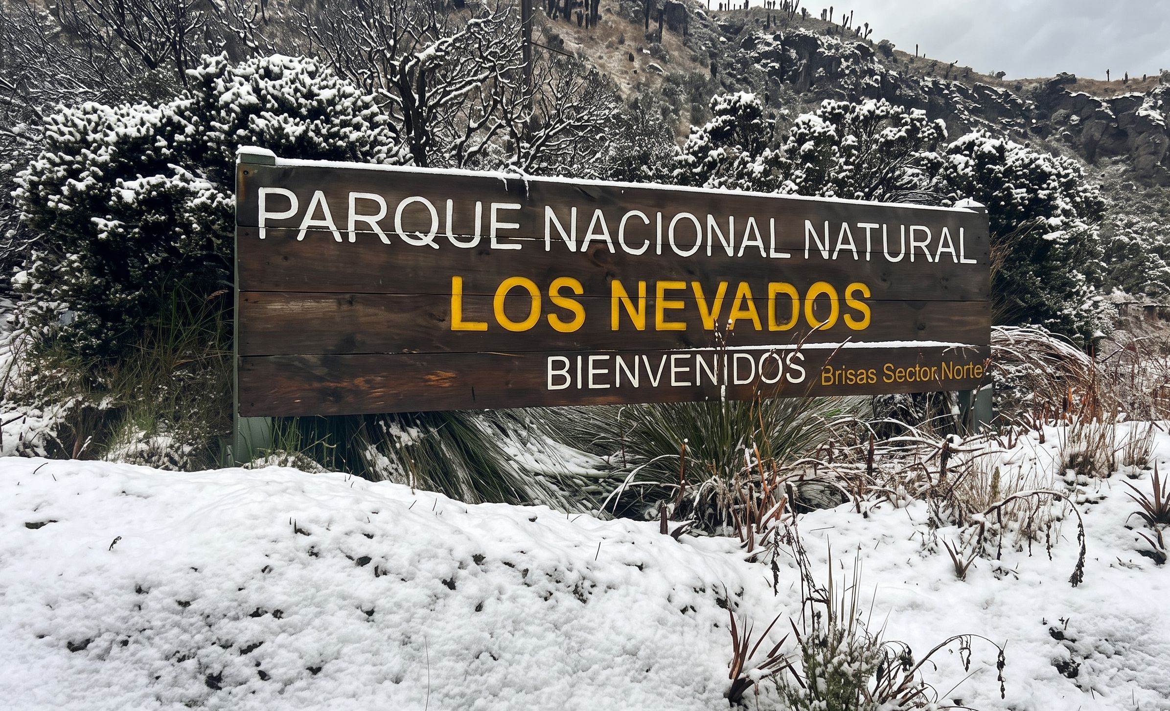 Nevado del Ruiz: Guía completa para explorar la joya natural de los Andes colombianos