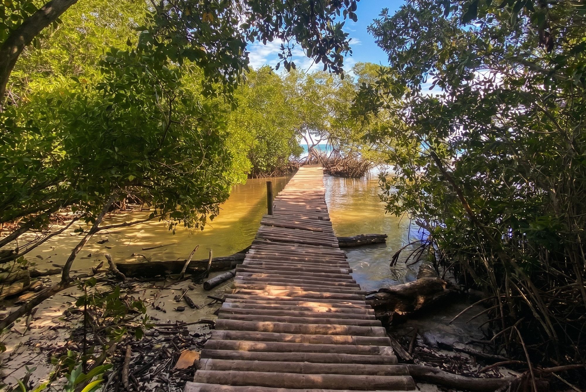 Tours y experiencias en isla Tintipán: las mejores opciones