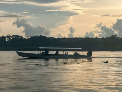 Galería de amazonas