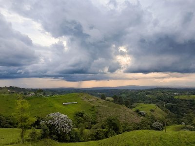 Galería de eje cafetero