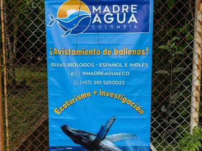 Galería de bahía solano