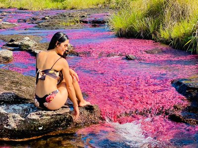 Galería de caño cristales