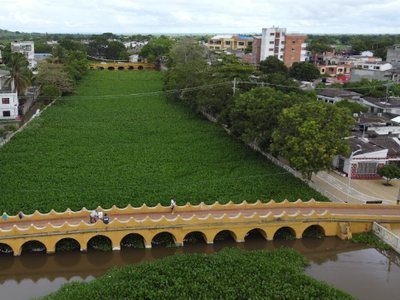 Galería de lorica