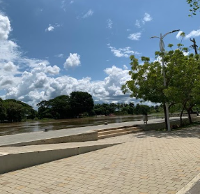 Galería de lorica