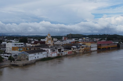 Galería de lorica