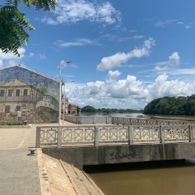 Galería de lorica