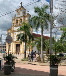 Galería de lorica