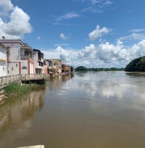 Galería de lorica