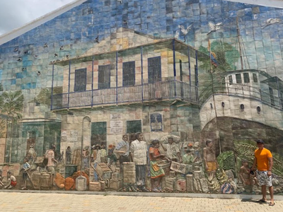 Galería de lorica