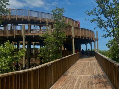 Galería de barranquilla