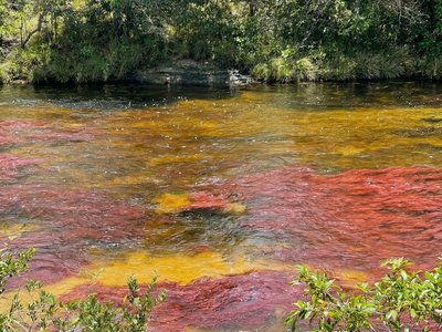 Galería de caño cristales