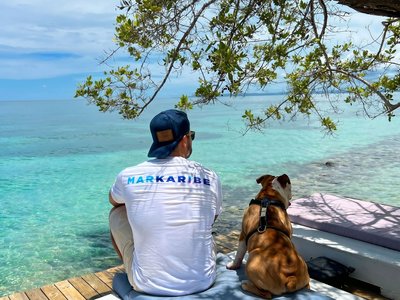 Galería de isla palma