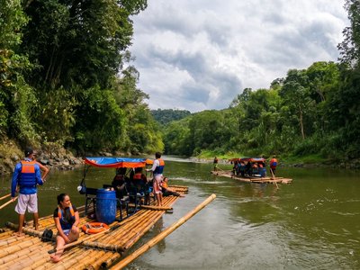 Galería de eje cafetero