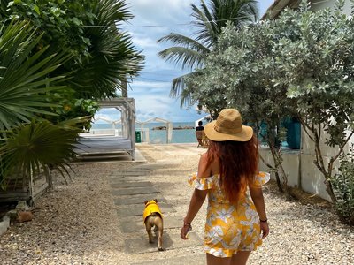 Galería de coveñas