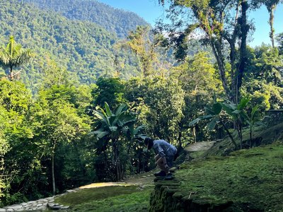 Galería de ciudad perdida