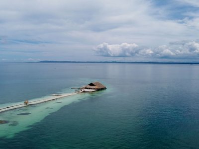 Galería de isla palma