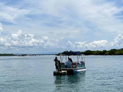 Galería de isla palma