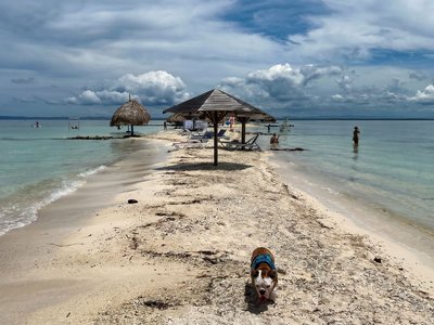 Galería de isla palma