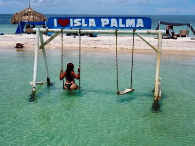 Galería de isla palma