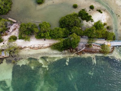 Galería de isla palma