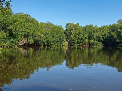 Galería de coveñas