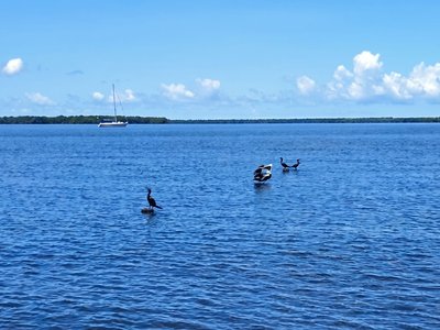 Galería de coveñas