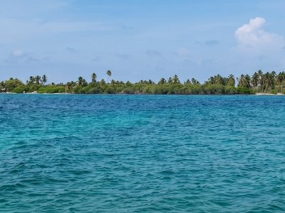 Galería de isla múcura