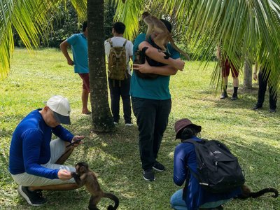 Galería de amazonas