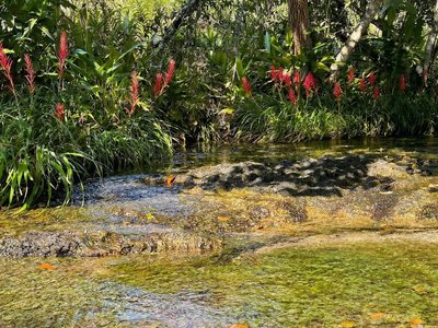 Galería de caño cristales