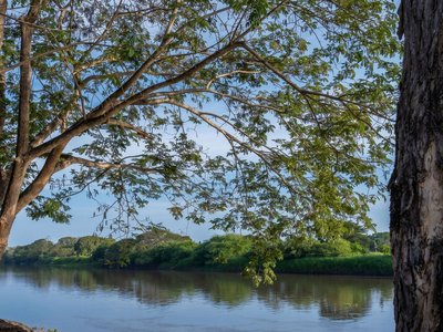 Galería de mompox