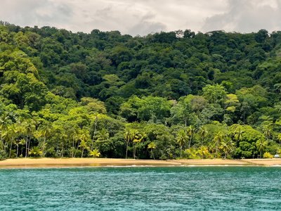 Galería de bahía solano