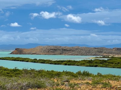 Galería de punta gallinas