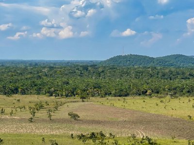 Galería de caño cristales