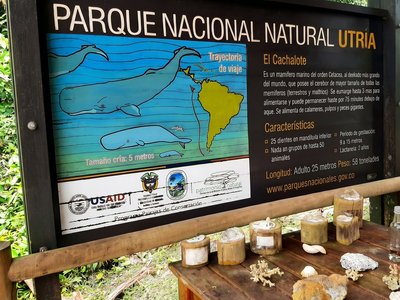 Galería de nuqui