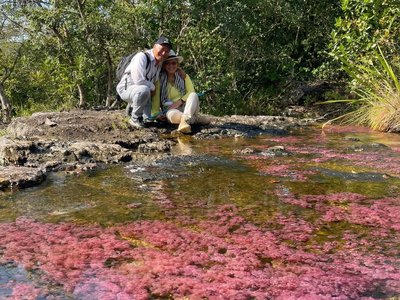 Galería de caño cristales