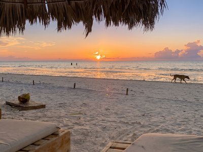 Galería de mix caribeño