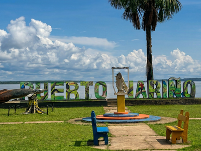 Galería de amazonas