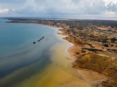 Galería de punta gallinas
