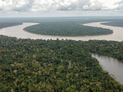 Galería de amazonas