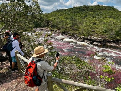 Galería de caño cristales
